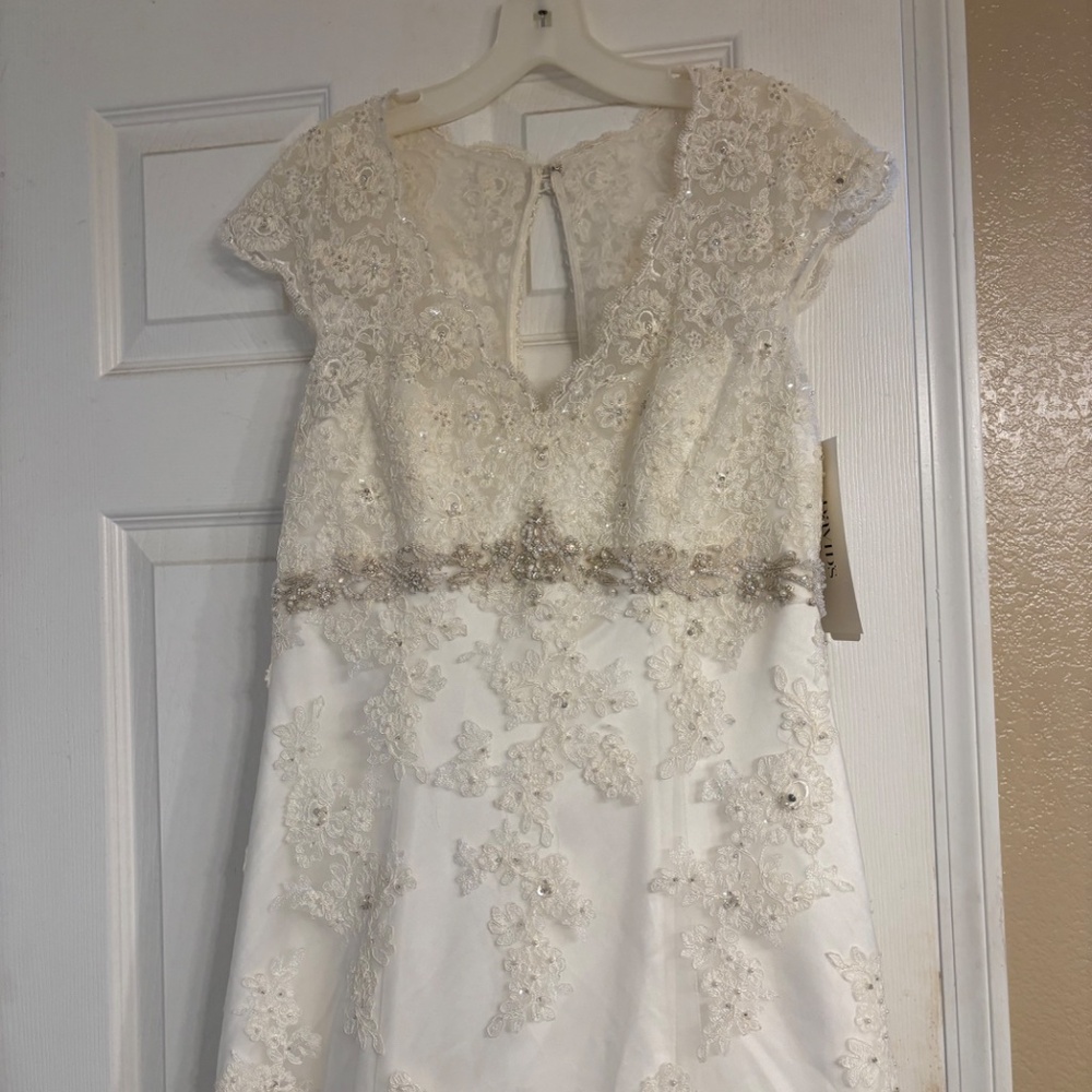 David’s Bridal Wedding Dress, ivory, size 12, new, unaltered. - Picture 3 of 7
